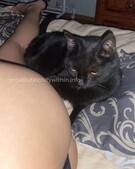 Анкета проститутки Илона - метро Хорошевский, возраст - 25